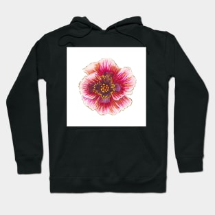 Poppy sketch 1 Hoodie